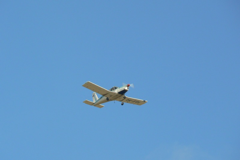 P1100437.JPG