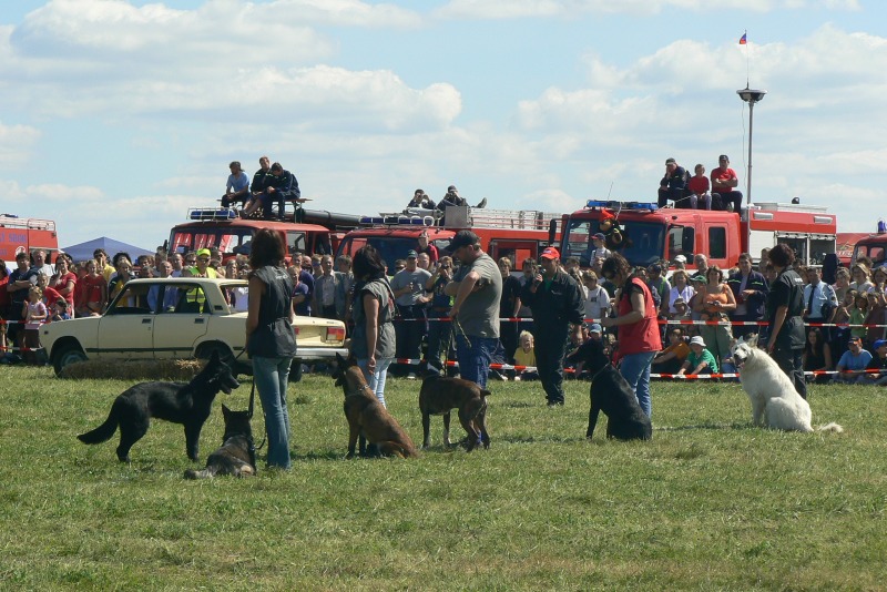 P1100636.JPG