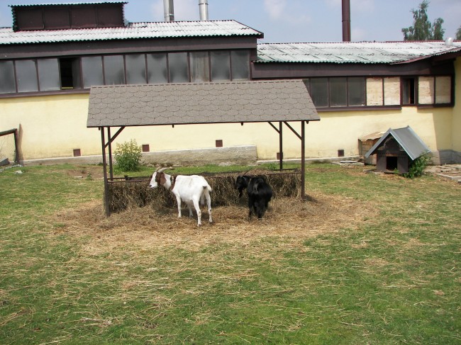 30 Kozí farma - Pěnčín.jpg