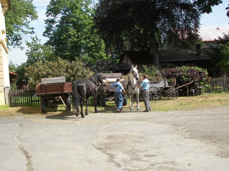17.05.08- 016.jpg