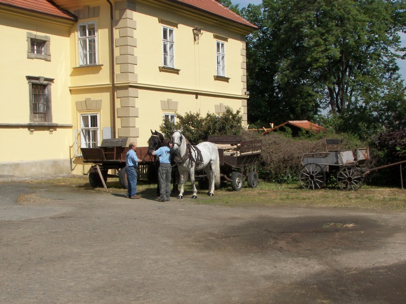 17.05.08- 017.jpg