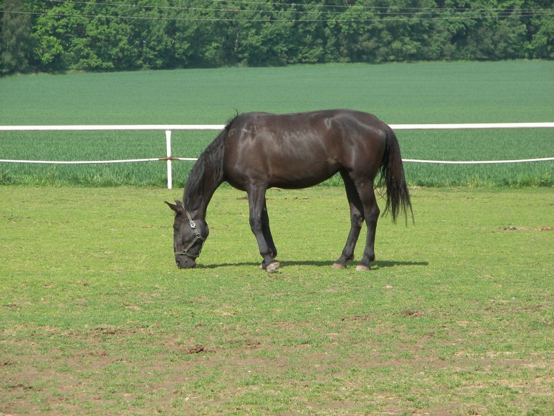 17.05.08- 032.jpg