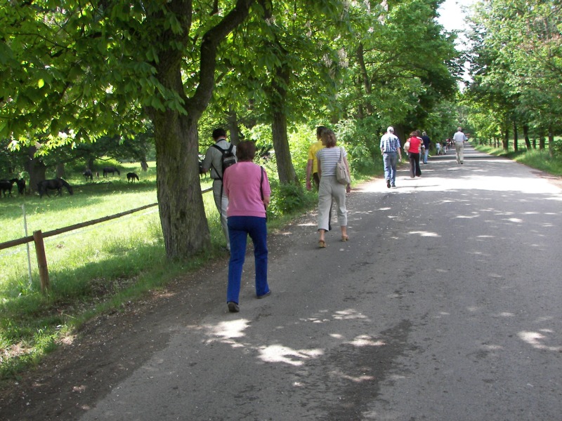 17.05.08- 037.jpg