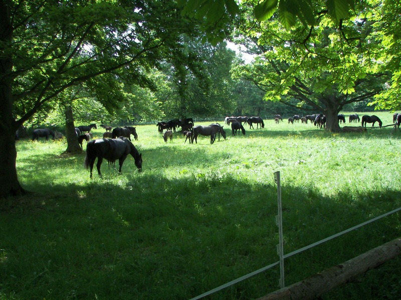 17.05.08- 038.jpg