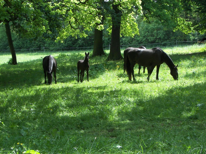 17.05.08- 041.jpg
