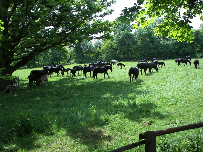 17.05.08- 044.jpg