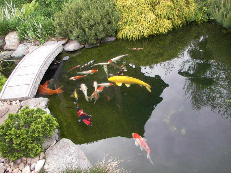 17.05.08- 055.jpg