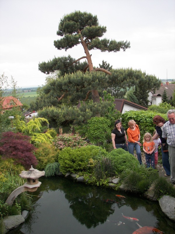 17.05.08- 058.jpg