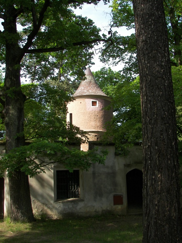 17.05.08- 084.jpg