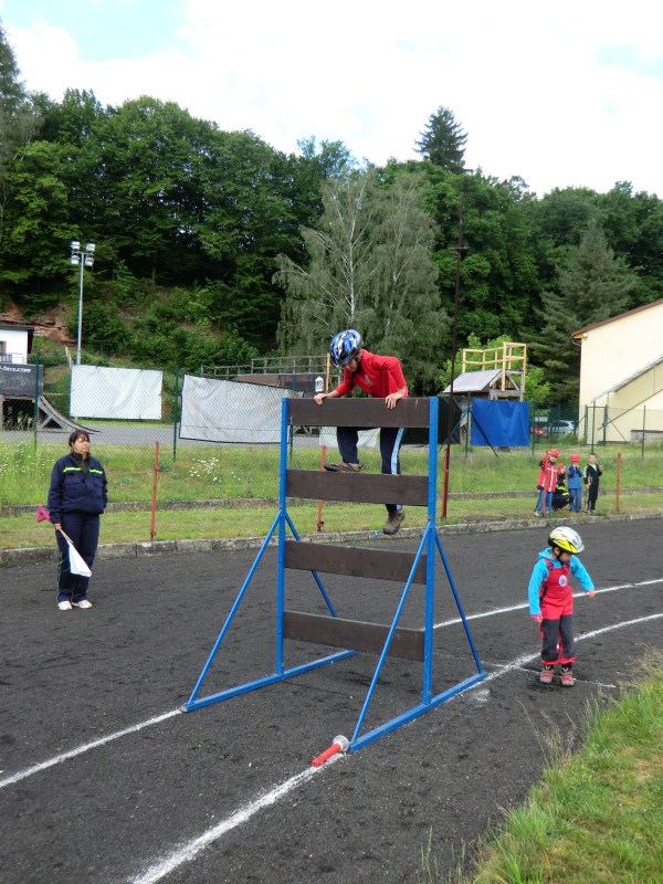 2012.06.02. - Jarni Plamen UPICE - 013