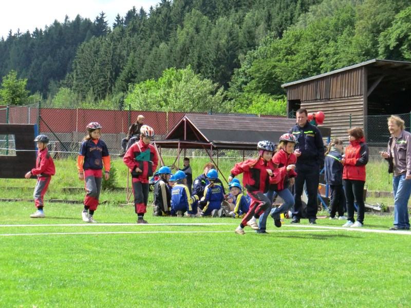 2012.06.02. - Jarni Plamen UPICE - 030