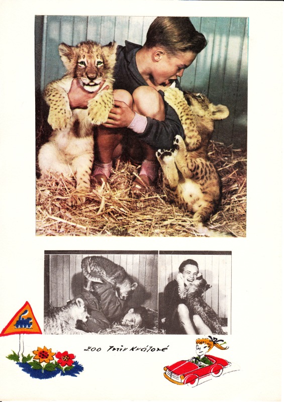 SDH DOLNI BRANNA - zajezdy 1950 az 1970_12